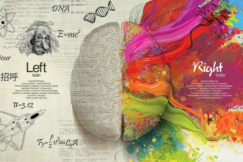 Cerveau et Méditation