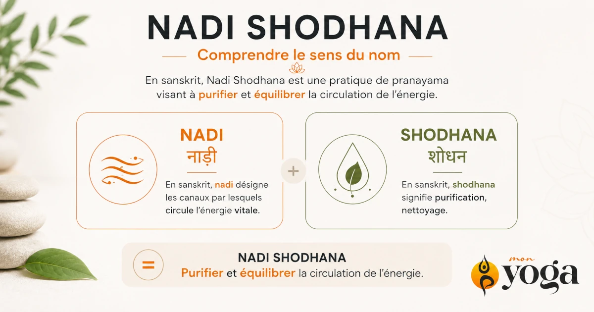 Infographie présentant l’étymologie de Nadi Shodhana : nadi désigne les canaux de l’énergie vitale et shodhana signifie purification.